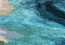 Роскошный ковер Roche Bobois Shark Bay